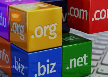 Süresi Biten Domain Ne Zaman Düşer?