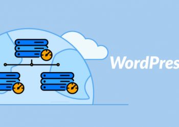 Ağ Gecikmesi Nedir?