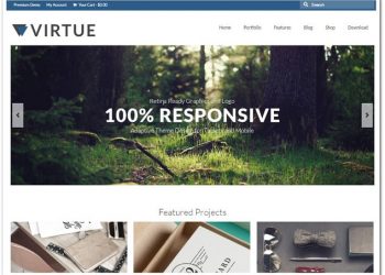 En İyi 5 Responsive WordPress Temaları! Tema Nedir?