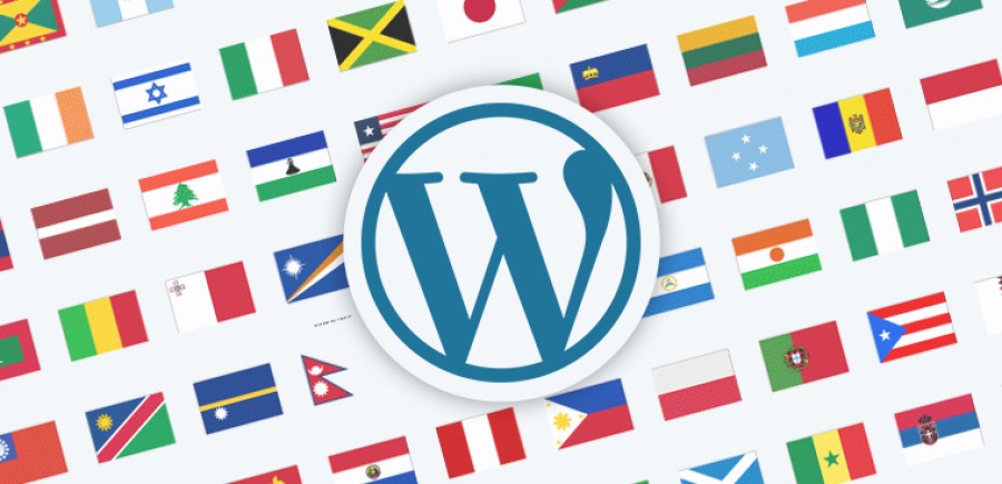 WordPress Çok Dilli Site Kurulumu Kılavuzu