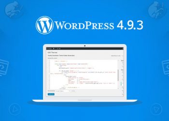 WordPress 4.9.3 Türkçe Hakkında,Eklenti,İndirme ve Kurulum