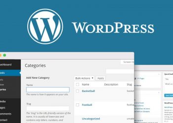 WordPress Ana Sayfasından Kategori Nasıl Çıkarılır?