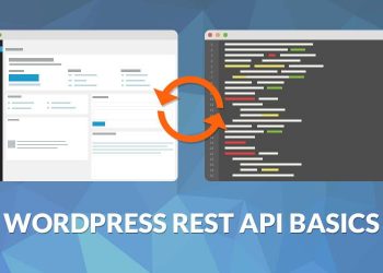 WordPress REST API Temelleri