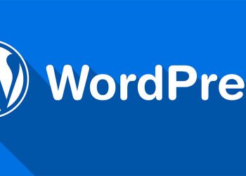 WordPress Sitelerde Tema Seçerken Dikkat Edilmesi Gerekenler